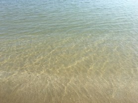 Mare O.JPG