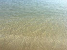 Mare O.JPG