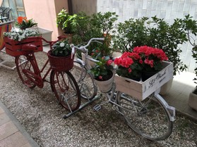 bici O.JPG